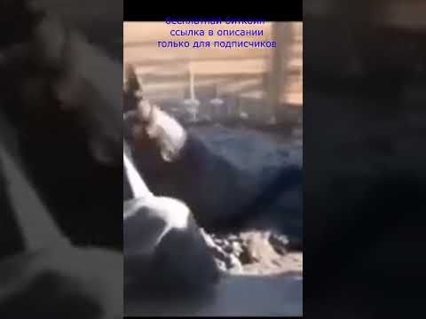 #смешныевидео приколы #приколыалкаши