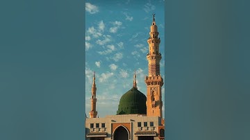 ✨تراويح وقيام الليلة الرابع والعشرون من رمضان ١٤٤٥هـ للقارئ.. (معاذ الزغيبي)