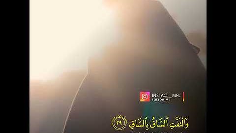 حالات واتس اب دينيه القارئ عمر الدريويز