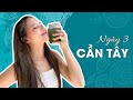 Ngày 3 - Detox Cần Tây | Detox Cần Tây có gây đầy mụn không? | Mụn ẩn | Trị mụn.