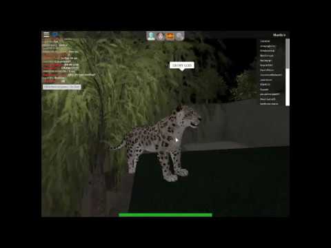 Snow Leopard Shard Seekers Roblox By Irish Kitty - roblox leopard shirt