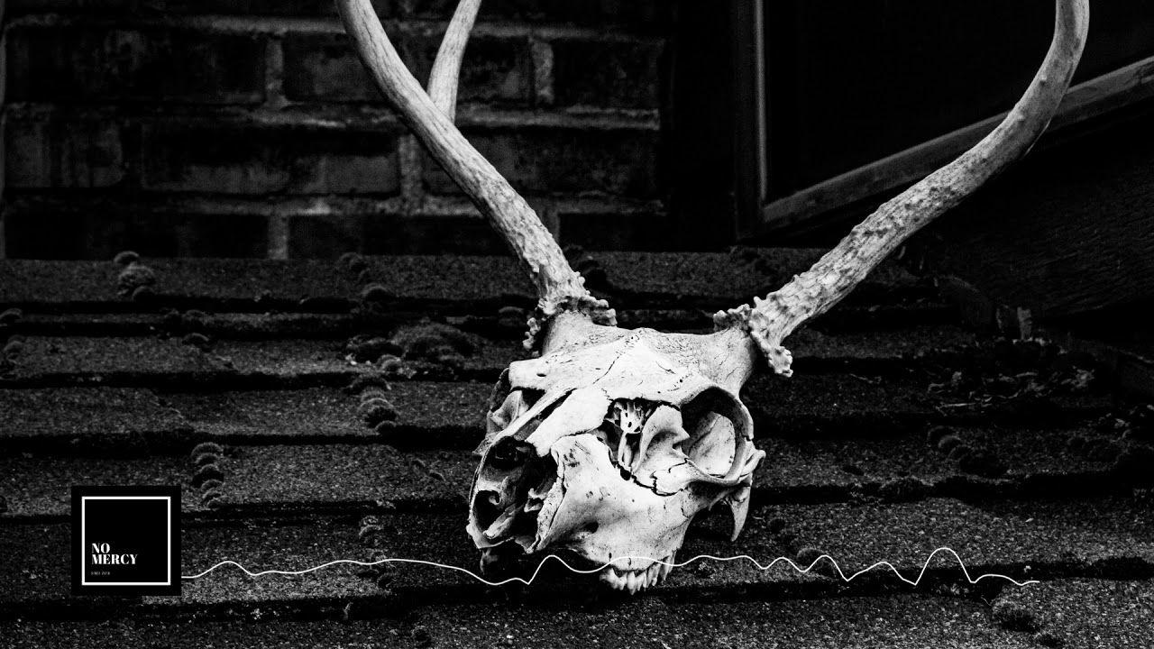 Inhalt Der Nacht Echoes Of October