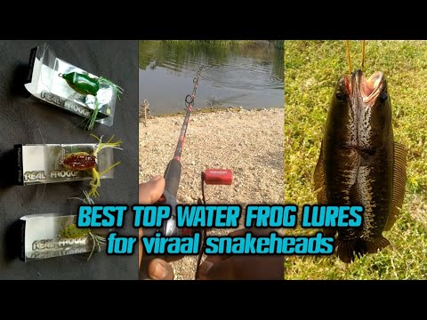 Best top water fishing lures / frog lures / fishing snakeheads 