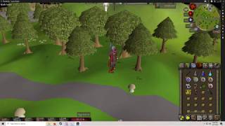 Seers Village/Taverley Forest Ambience - OSRS ASMR