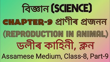 বিজ্ঞান অধ্যায় ৯ প্ৰাণীৰ প্ৰজনন অষ্টম শ্ৰেণী|ডলীৰ কাহিনী ক্লন|Class 8 Science Chapter 9 in Assamese