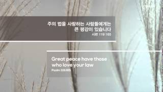 Cgntv 가을Id 성령의 열매화평 201510