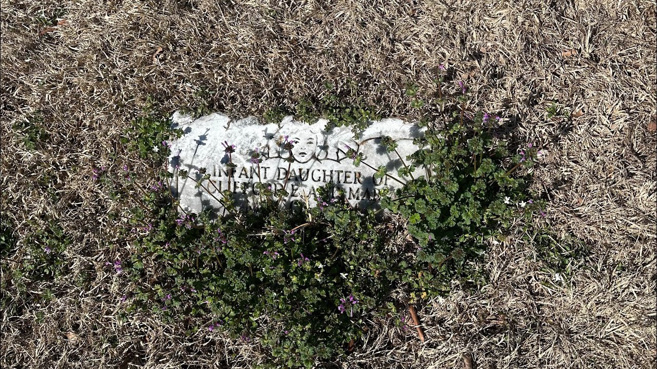 Stillborn baby girl. Let’s get her grave as beautiful as she was.