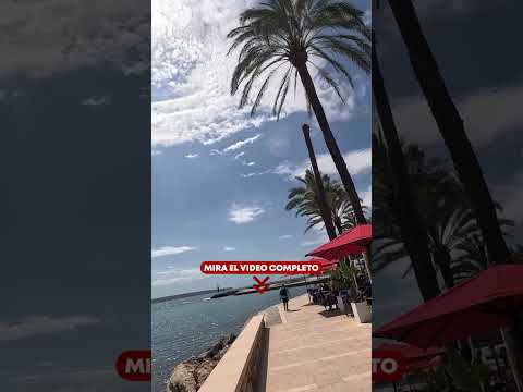 Contemplad... Palma de Mallorca | Andrés López