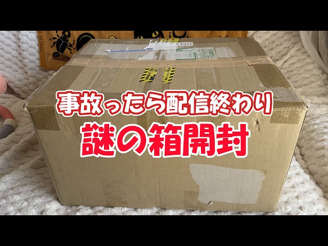Let's Open This Mystery Box Together☆Unboxing! - YouTube