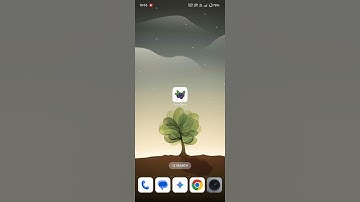 Password Generator with API Showcase | #coding #passwordgenerator