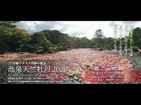 由志園　池泉天竺牡丹2020 CM