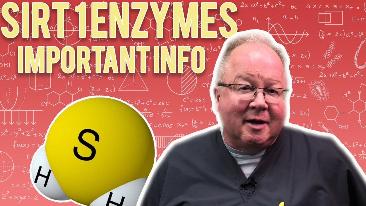 Sirt 1 Enzymes: Important Information