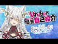 【自己紹介】Vtuber一問一答自己紹介 / Vtuber Q&A self introduction【\#猫依ちかな】