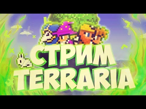Terraria,прохожу на пк