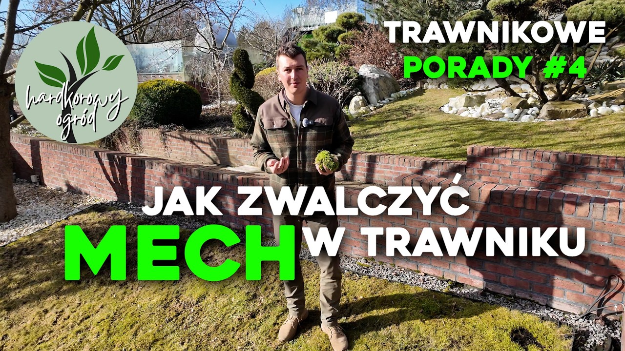 JAK ZWALCZYĆ MECH W TRAWNIKU.