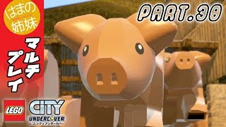 【レゴ版GTA】動物パラダイスへようこそ！【はまの姉妹のレゴシティアンダーカバー PART.30】女性実況