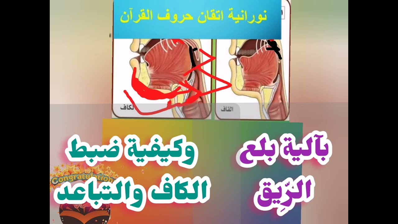 🔸@بآلية البلع سنضبط الكاف وشدتها ونمنع الإمالة في نورانية اتقان حروف القرآن تعالوا نسمع ونتعلم معا🔸