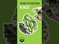How to De-Stem Kale