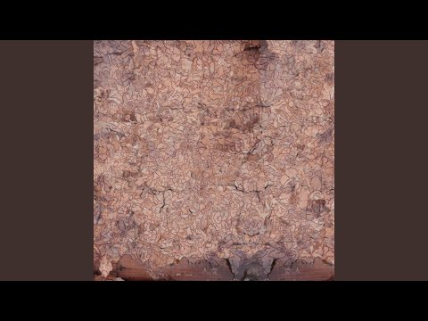 Indignant Senility — Color Absolution