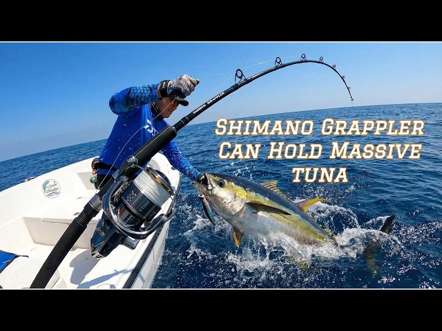 best fishing reel for yellowfin tuna Can This Budget Rod Actually Land a Massive Tuna? Field Test with Shimano  Stella Reel