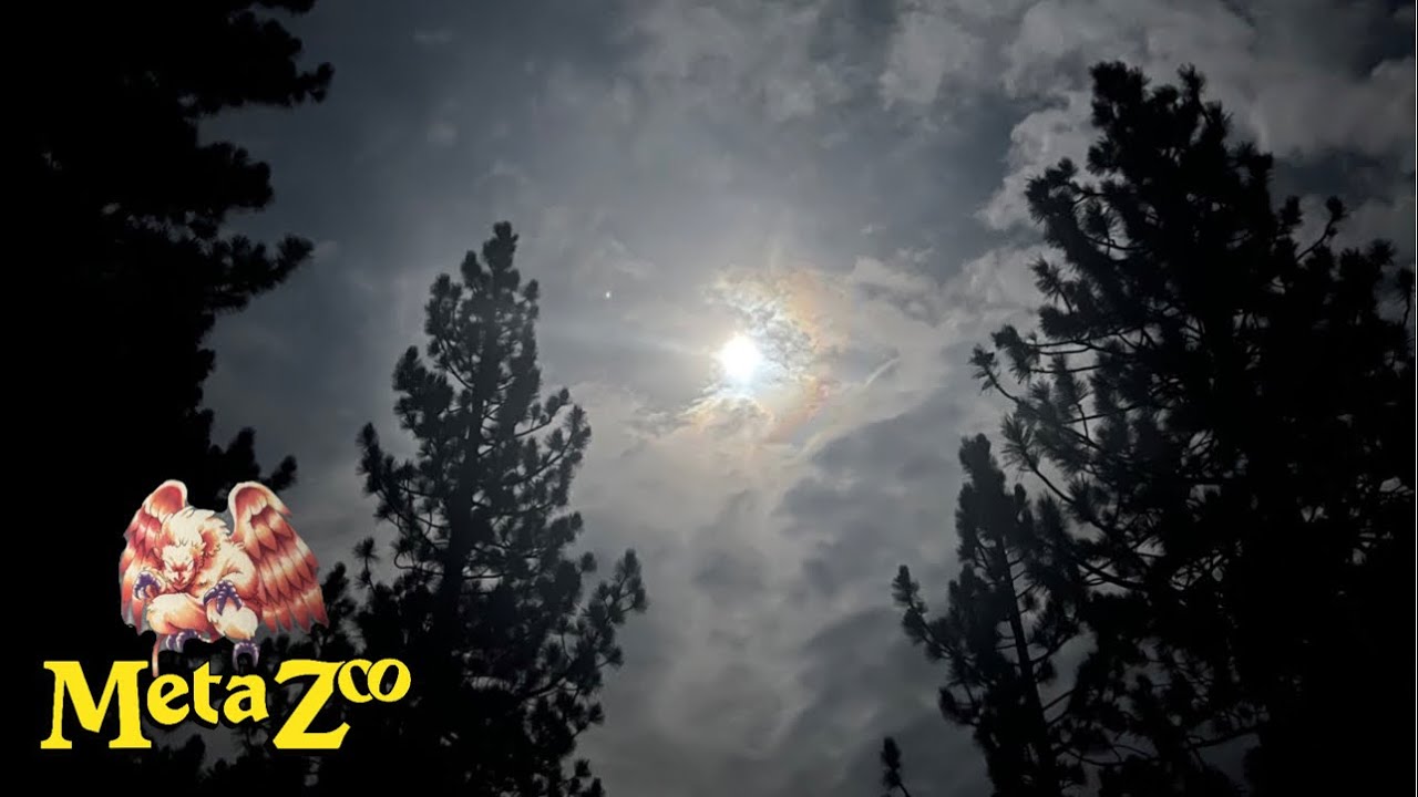 Metazoo - Finally some UFO! Release event box