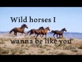 Miniature de la vidéo de la chanson Wild Horses