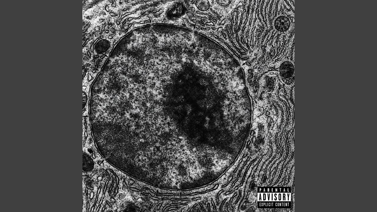 Παρακολούθηση cELL¡ στο YouTube Παρακολούθηση cELL¡ στο YouTube