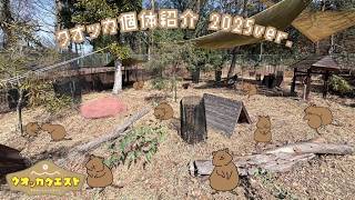 Quokka Quest] Introducing individual quokkas 2025 ver. - YouTube