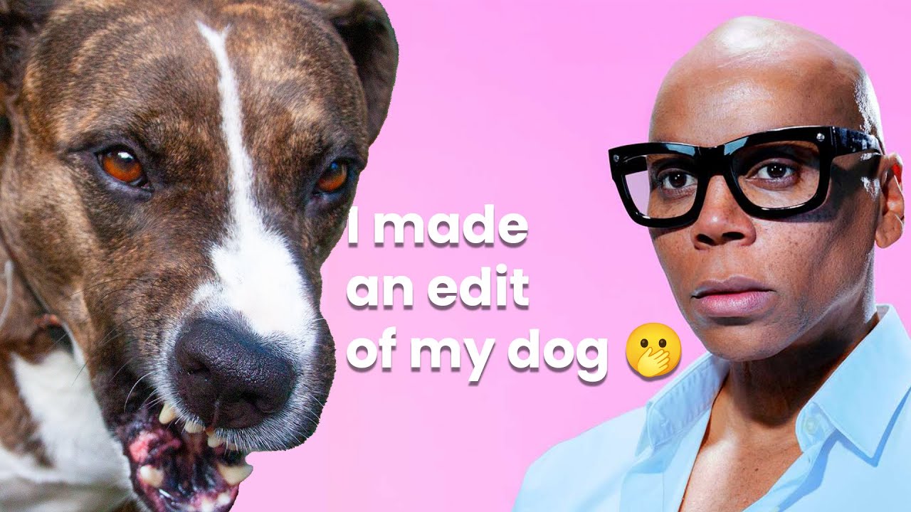 i-made-an-edit-of-my-dog-youtube