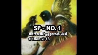 SP-NO.1 suara panggil walet yg pernah viral di 2018.