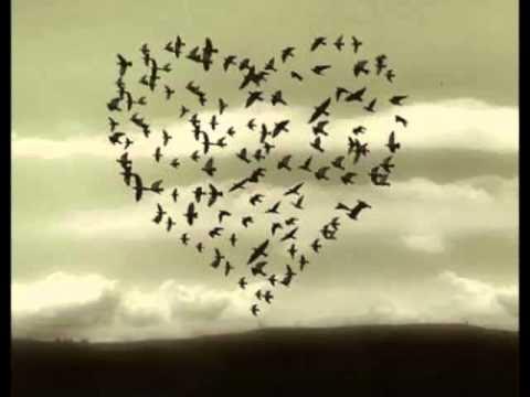 Gary Moore - With Love (Remember)