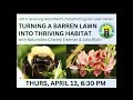 Turning a Barren Lawn into a Thriving Habitat