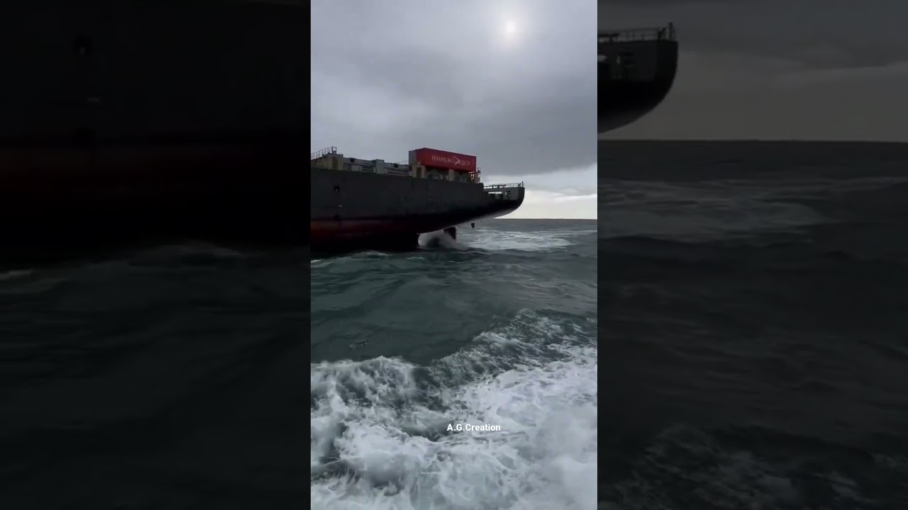 Ship WhatsApp status