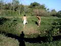 felipe caindo no brejo