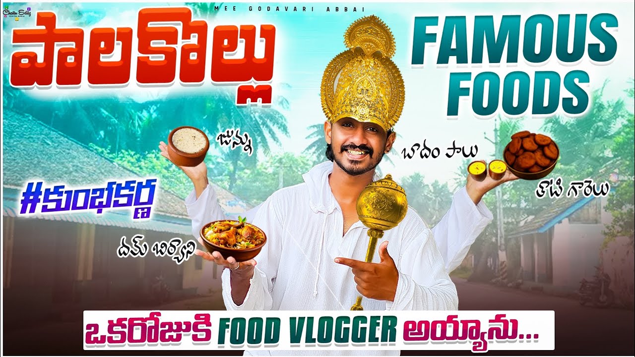 Palakollu famous street foods || Food vlog || Hyderabad Dum biryani || Mee Godavari Abbai