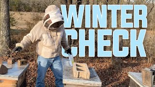 Winter Hive Check; Addressing: Starvation, Beneficial Health & Beetle Control.