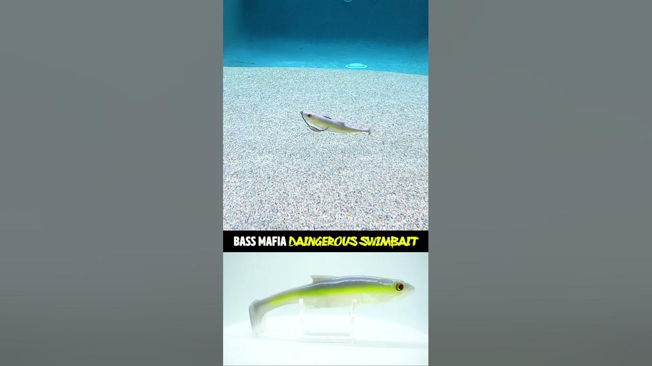 Bass Mafia Daingerous Unrigged Bass Fishing Swimbait #shorts 