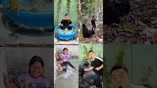 Unexpected Encounters and Shocking Moments in a Four-Panel Video #funnyfails