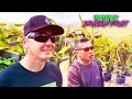 AMAZING DRAGON FRUIT FARM TOUR with the Owner of Oceanside Dragon Fruit Leonardo Aguila