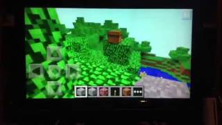 Minecraft Super Mario