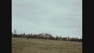 News Item (44f36704-6162-1a84-a488-3f8911d05813)