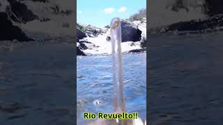Rio Revuelto Oro bajo el agua Estrenos ...     #shortvideo