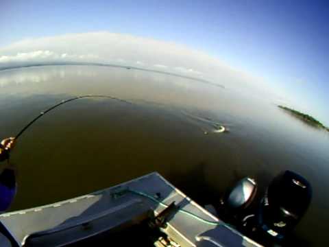 02 : Sturgeon Fishing on Todd Dielman's Guides in ...