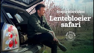 Ontdek De Perfecte Bomen Struiken Voor Jouw Tuin Maartens Boomkwekerij Safari