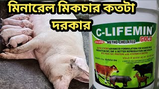 mineral mixture || pig farm in Tripura || 8787585546