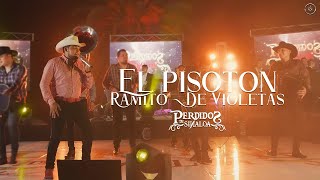 Miniatura de "Perdidos de Sinaloa - El Pisotón / Ramito De Violetas [En Vivo]"