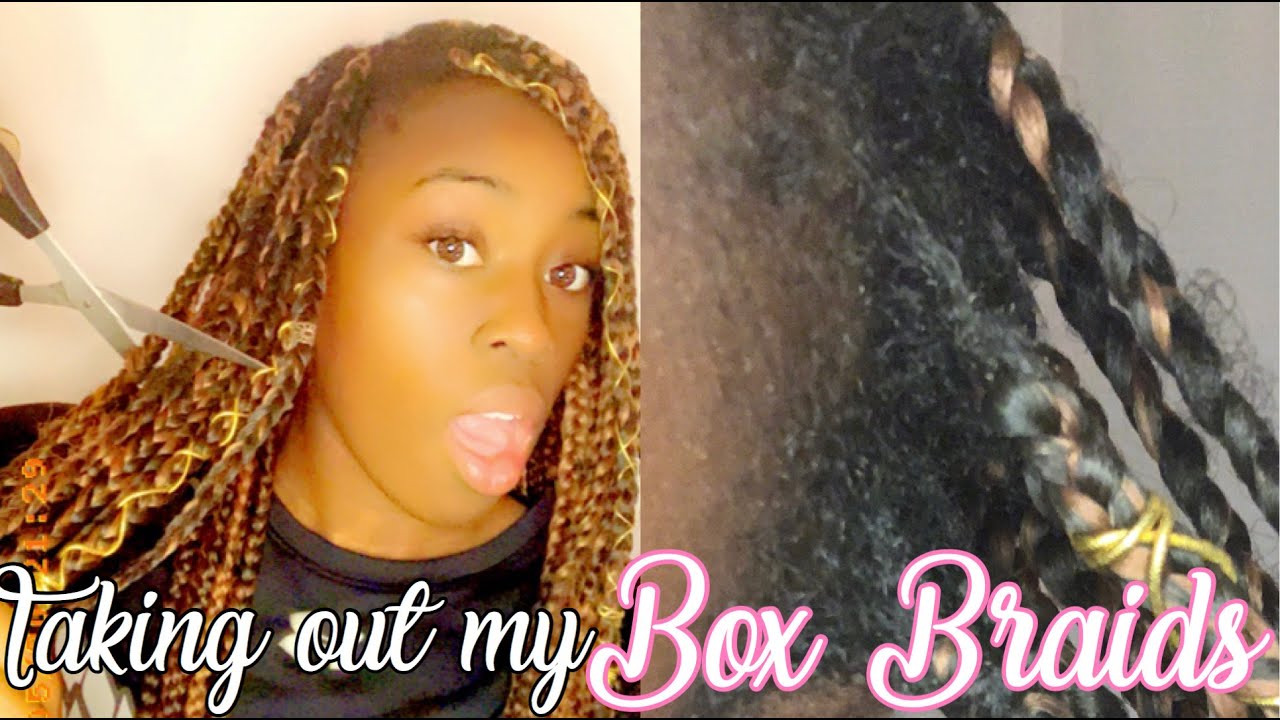 TAKING OUT MY BOX BRAIDS + New Growth! - YouTube