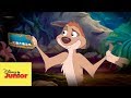 En Línea I Timón Pumba I Listo Y Seguro En Línea I Timón Pumba I Listo Y Seguro