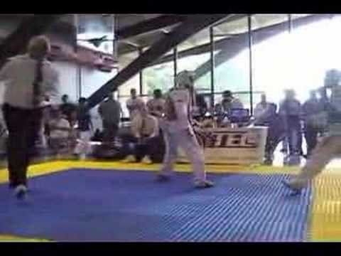 Whip Kick