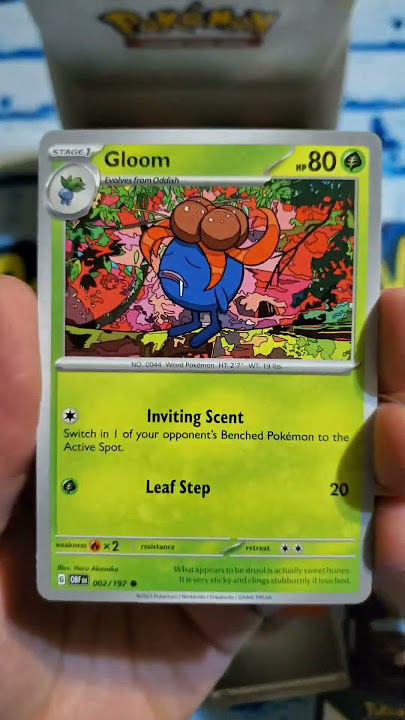 Zekrom-EX Collector's Tin Code Card - Pokemon Singles » Pokemon TCGO Code  Cards - Collector's Cache